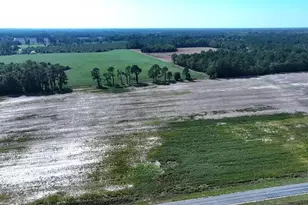 Tbd Cowpen Swamp Rd, Fairmont, NC 28340 - Photo 1