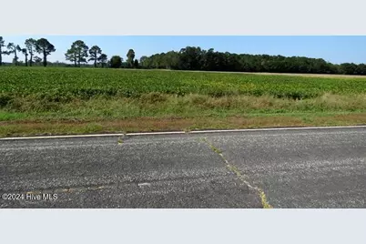 Tbd Cowpen Swamp Road, Fairmont, NC 28340 - Photo 3