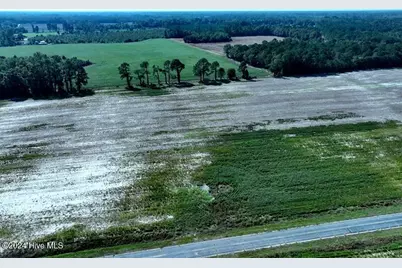 Tbd Cowpen Swamp Road, Fairmont, NC 28340 - Photo 1