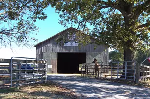 455 Hogan Farm Rd, Seagrove, NC 27341 - Photo 37