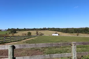 455 Hogan Farm Rd, Seagrove, NC 27341 - Photo 85