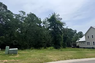 3828 Crab Catcher Loop NE, Leland, NC 28451 - Photo 1