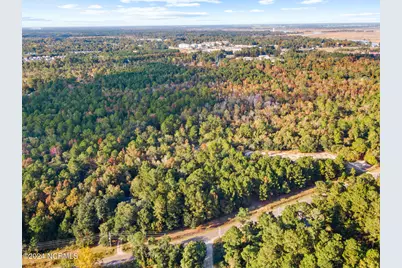 10125 Blackwell Road SE, Leland, NC 28451 - Photo 13