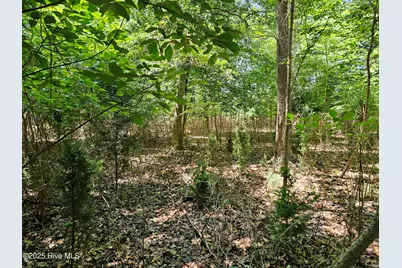 9, 10, 11 Peninsula Shores Way, Hertford, NC 27944 - Photo 17