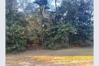 408 Lake Pines Drive, La Grange, NC 28551 - Photo 1