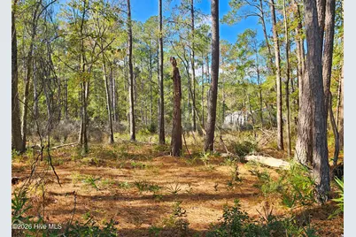 0 Barnes Foster Loop Road, Belhaven, NC 27810 - Photo 9