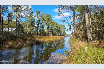 0 Barnes Foster Loop Road, Belhaven, NC 27810 - Photo 5