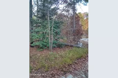 Lot #1 Stelleys Tabernacle Church Road, Rockingham, NC 28379 - Photo 5