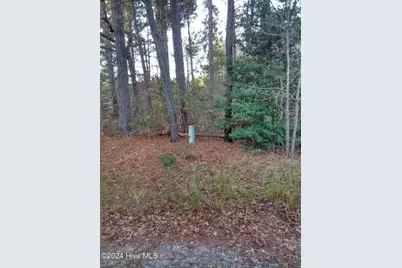 Lot #1 Stelleys Tabernacle Church Road, Rockingham, NC 28379 - Photo 3