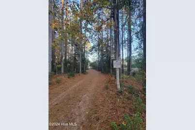 258 Port Drive, Oriental, NC 28571 - Photo 3
