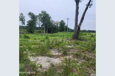 E1107 Eleven Farms Rd. Road, Salemburg, NC 28385 - Photo 3