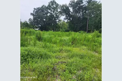 E1107 Eleven Farms Rd. Road, Salemburg, NC 28385 - Photo 1