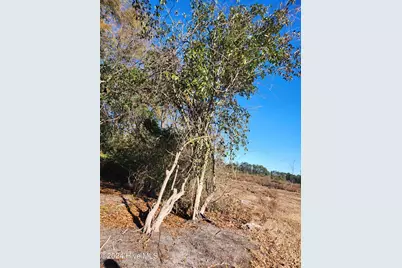 E1107 Eleven Farms Rd. Road, Salemburg, NC 28385 - Photo 11