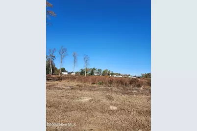 E1107 Eleven Farms Rd. Road, Salemburg, NC 28385 - Photo 13