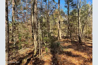 153 Vista Lane, Rockingham, NC 28379 - Photo 41