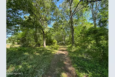 2209 Forest Drive SW, Supply, NC 28462 - Photo 5