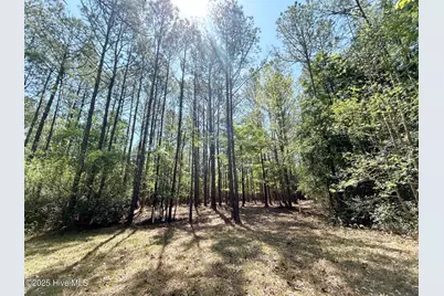 379 Mill Creek Drive, Minnesott Beach, NC 28510 - Photo 5