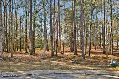 803 Weston Lane SE, Bolivia, NC 28422 - Photo 13