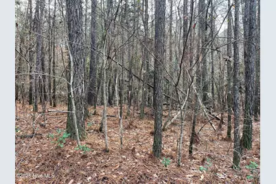 000 N State Lane, Rockingham, NC 28379 - Photo 13