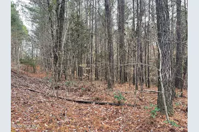 000 N State Lane, Rockingham, NC 28379 - Photo 11