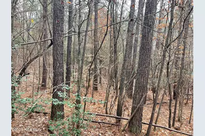 000 N State Lane, Rockingham, NC 28379 - Photo 9