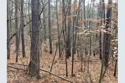 000 N State Lane, Rockingham, NC 28379 - Photo 15