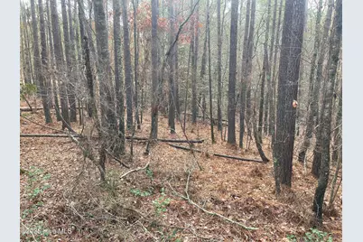 000 N State Lane, Rockingham, NC 28379 - Photo 17