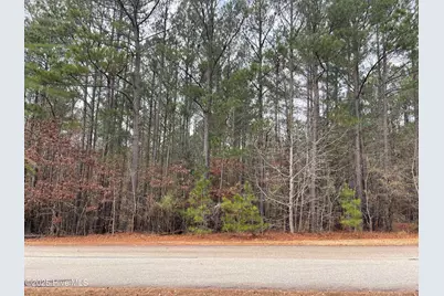 000 N State Lane, Rockingham, NC 28379 - Photo 3