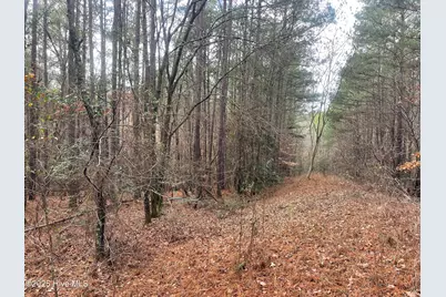 000 N State Lane, Rockingham, NC 28379 - Photo 5