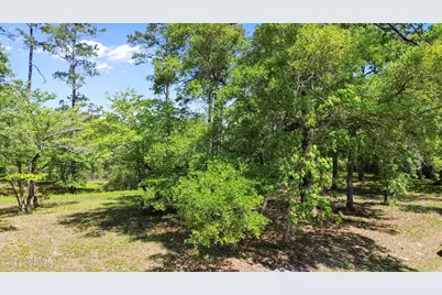 3494 Mill Pond Road SW, Shallotte, NC 28470 - Photo 1