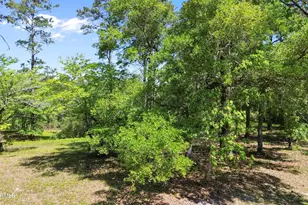 3494 Mill Pond Rd SW, Shallotte, NC 28470 - Photo 1
