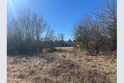 4220 Blacks Chapel Road, Sanford, NC 27332 - Photo 15