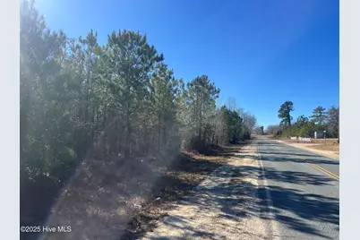 4220 Blacks Chapel Road, Sanford, NC 27332 - Photo 9