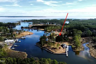 228 Hopkins Seafood Rd, Belhaven, NC 27810 - Photo 15