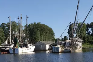 228 Hopkins Seafood Rd, Belhaven, NC 27810 - Photo 13