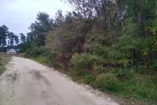 228 Hopkins Seafood Rd, Belhaven, NC 27810 - Photo 23