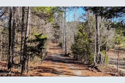 Off J B Morgan Road, Apex, NC 27523 - Photo 5
