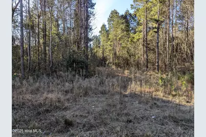 26688 Nc-210, Kelly, NC 28448 - Photo 5