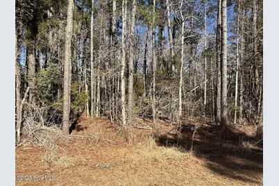 354 Belgrade Swansboro Road, Stella, NC 28582 - Photo 19