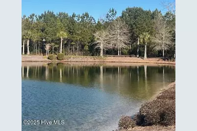 3075 Brackenbury Street SW, Shallotte, NC 28470 - Photo 7