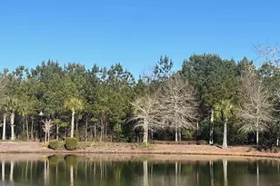 3075 Brackenbury St SW, Shallotte, NC 28470 - Photo 7