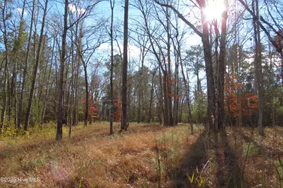109 Winding Creek Drive, Oriental, NC 28571 - Photo 1