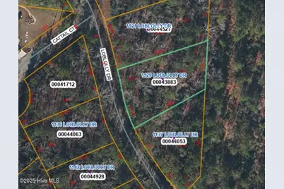 1129 Loblolly Drive, Vass, NC 28394 - Photo 1