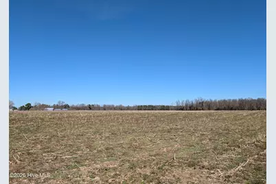 000 Cedar Fork Road, Beulaville, NC 28518 - Photo 1