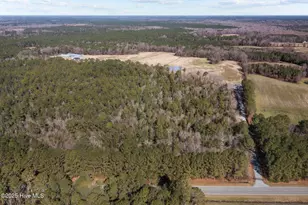 9572 Hwy 41, Pink Hill, NC 28572 - Photo 3