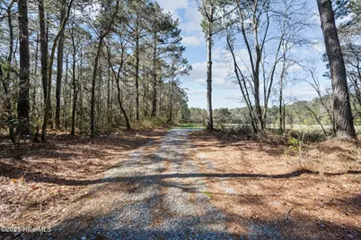9572 Hwy 41, Pink Hill, NC 28572 - Photo 93