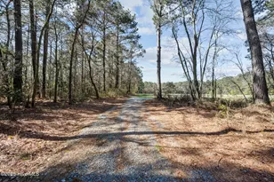 9572 Hwy 41, Pink Hill, NC 28572 - Photo 93