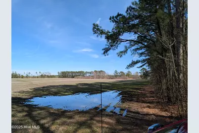 522 Plum Nearly Lane, Trenton, NC 28585 - Photo 19