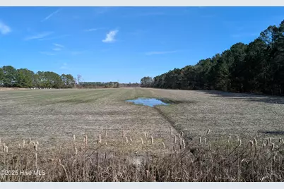 522 Plum Nearly Lane, Trenton, NC 28585 - Photo 13
