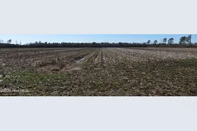 0 Neals Creek Road, Bayboro, NC 28515 - Photo 21